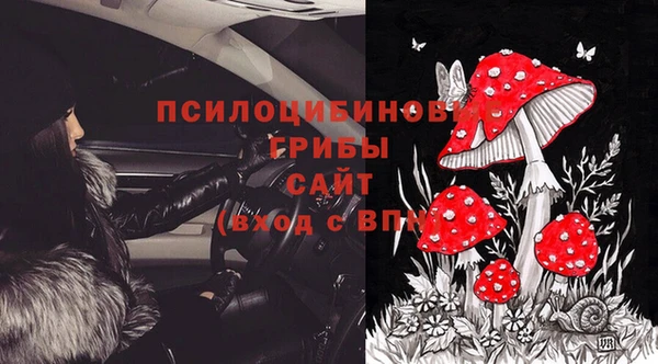 прущая мука Алзамай