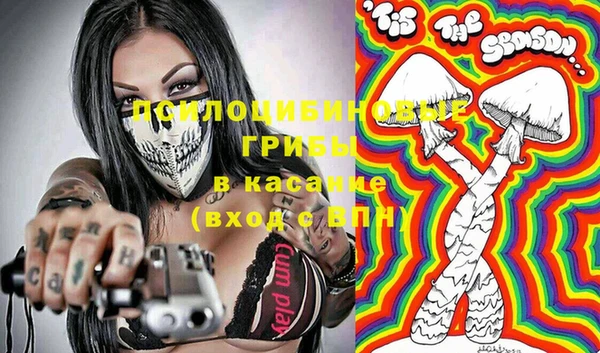 прущая мука Алзамай